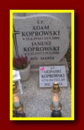 Kliknij aby powiększyć